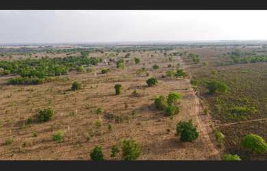 Imagem 1: 102 Alqs Pra Soja ou Cria Ótima em Tudo Região Novo Planalto GO
