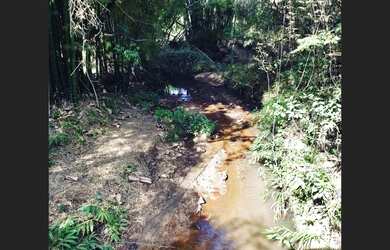 Imagem 10: Fazenda de 110 há em São Tiago MG