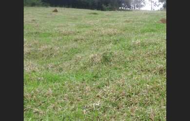 Imagem 7: Fazenda de 10 ha em Oliveira