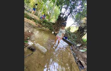 Imagem: A chácara e está localizado em Itaituba, PA à venda por R$15.000