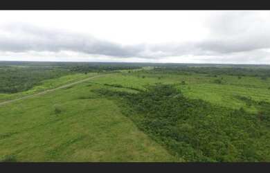 Imagem 6: Fazenda de 280 hectares no Pará por 2.700.000 reais 225 hectares de pasto