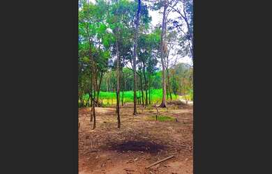 Imagem 2: Vendo ou troco chácara por casa em Lucas do Rio Verde