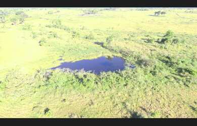 Imagem 7: 300 alqueires com 1000 rezes por R$8 milhões porteira fechada