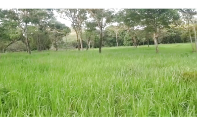 Imagem 9: 110 Alqs Dupla Aptidão Rio Beira Asfalto Região Palmas TO