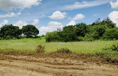 Imagem: A fazenda possui 4.356-4.356m² de Área, Direto com o proprietário