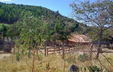 Imagem 14: Fazenda de 18 há Cláudio MG