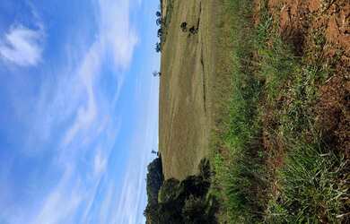 Imagem 6: Fazenda de 43 há em Rio Manso MG