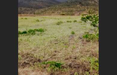Imagem: O terreno possui 9.300m² de Área e está localizado em Caldeirão