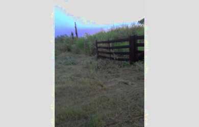 Imagem 3: Sitio colniza. 