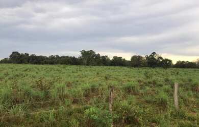 Imagem: A fazenda está localizado em Barrolândia, TO à venda por