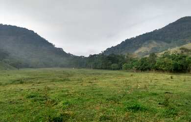 Imagem 7: VENDO FAZENDA DE 33 ALQUEIRES PROXIMA A RODOVIA MARIO COVAS - SILVA JARDIM...