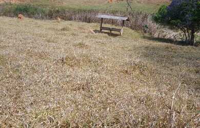 Imagem 14: Fazenda de 50 há em Crucilândia MG