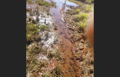 Imagem 9: Fazenda de 21 há em Itapecerica MG
