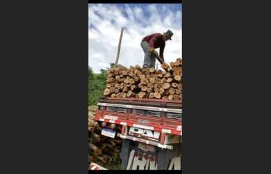 Imagem: A fazenda possui Direto com o proprietário e está localizado
