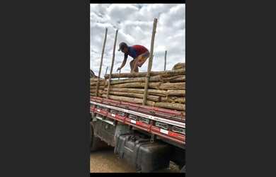Imagem 2: VENDO ESTACAS SABIÁ , MOURÕES , ESTICADORES