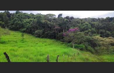 Imagem: A fazenda está localizado em Entre Rios de Minas, MG à venda