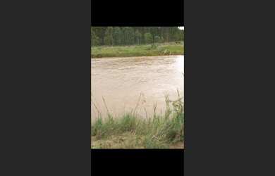 Imagem 10: Fazenda de 72 há pouco m Oliveira MG