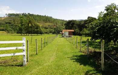 Imagem 8: Fazenda de 128 há em São Tiago