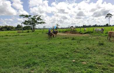 Imagem 5: Fazenda em União Bandeirantes