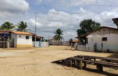 Imagem 13: Fazenda no Pará 640 alqueires com 450 em pasto por R$28.160/alqueire