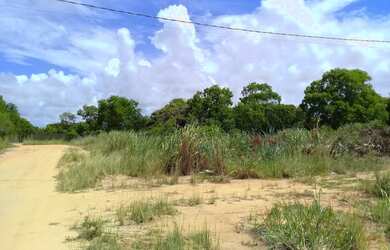 Imagem 3: Terreno de Esquina 300m2 escriturado