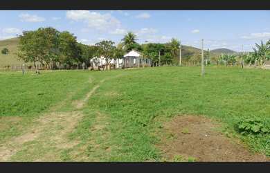 Imagem 15: Fazenda 120 hectares Vale do Mucurí Santa Helena de Minas Zap 33 998000931