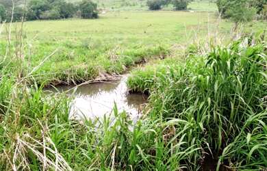 Imagem 5: Sítio no Município de Apucarana/PR