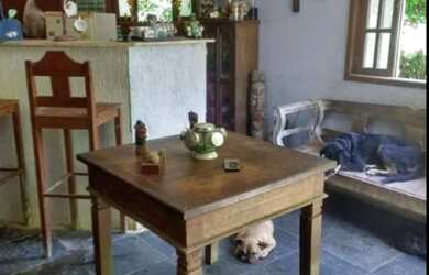 Imagem 2: LOCAÇÃO/VENDA DE CASA PIRATININGA JARDIM IMBUI NITERÓI RJ