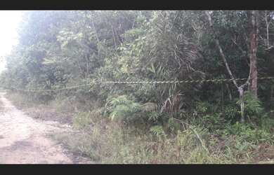Imagem 10: Terreno rural na beira do rio Piririm