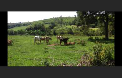 Imagem 13: Fazenda de 72 há em Oliveira MG
