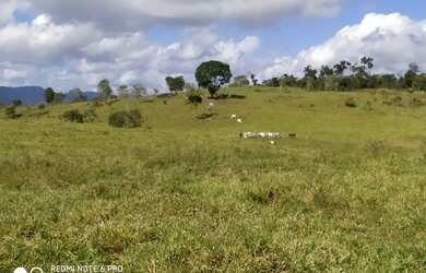 Imagem 5: Fazenda Itapé/BA. 1.400.000m² de Área