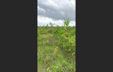 Imagem 12: fazenda 1.300 Hectares por R$4,5 milhoes 50 documentada no Pará