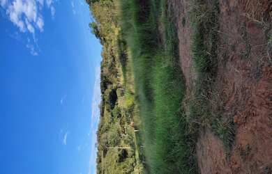 Imagem 13: Fazenda de 60 há São Tiago MG