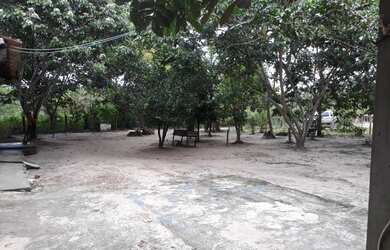 Imagem 5: Vendo uma sitio com uma casa altas e baixa 150,00 mas trocamos em uma...