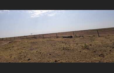 Imagem: A fazenda está localizado em Caiapônia, GO à venda por R$1