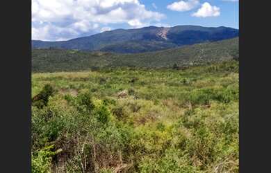 Imagem: O terreno possui 19.500m² de Área e está localizado em Campo