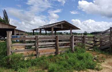 Imagem 3: R$ 2 milhões de reais 9 lotes e meio na alça viaria