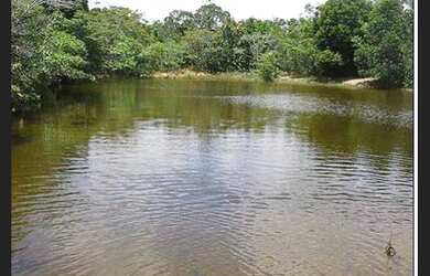 Imagem 10: Excelente Fazenda em Praia Do Forte