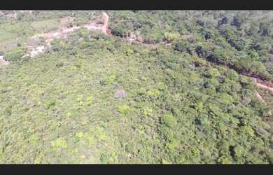 Imagem 3: R$1.600.000,00 fazenda com 1.000 hectares sendo 800 abertos no Pará