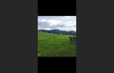 Imagem: Terreno de 8 há em Itaguara MG