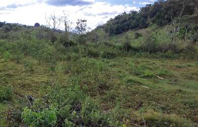Imagem: A fazenda e está localizado em São Tiago, MG à venda por