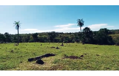 Imagem 3: 38 Alqs Cultura Muita Água Montada Região Goiatins TO