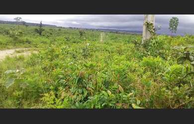 Imagem 4: Fazenda de 800 alqueires sendo 300 alq de pasto para 2000 vacas