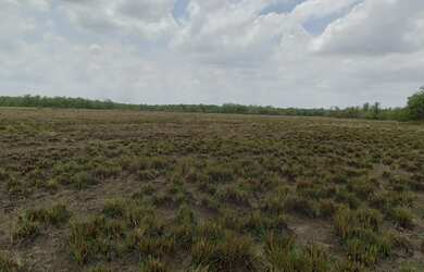 Imagem 3: Fazenda em Anajatuba com 504 hectares