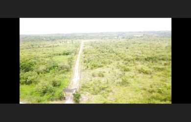 Imagem 5: R$600 mil reais fazenda de 34 Alqueires em Paragominas Pará