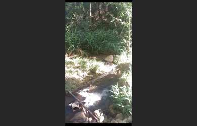 Imagem 6: Fazenda d 30 há em Carmo da Mata MG