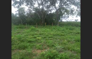 Imagem 1: 117 Alqs p Soja b Pista Cercada r São Salvador TO