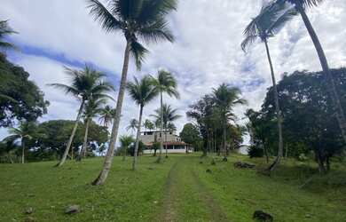 Imagem 10: Fazenda em jaguaripe. 1.000.000m² de Área, 4 Vagas na garageme3 Dormitórios