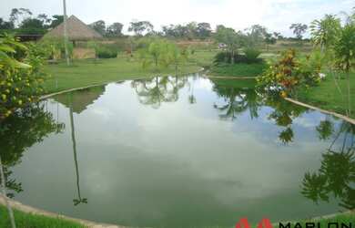 Imagem 13: Terreno no Condomínio Pau Brasil, segurança 24h. 1000m²