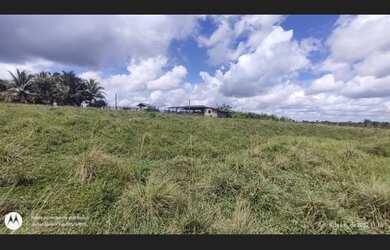 Imagem 9: R$15 milhões fazenda 250 alqueires no Pará com mil cabeças de gado